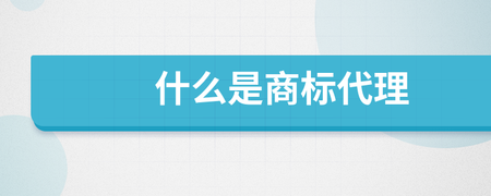 商標代理 企業(yè)品牌的法律守護者